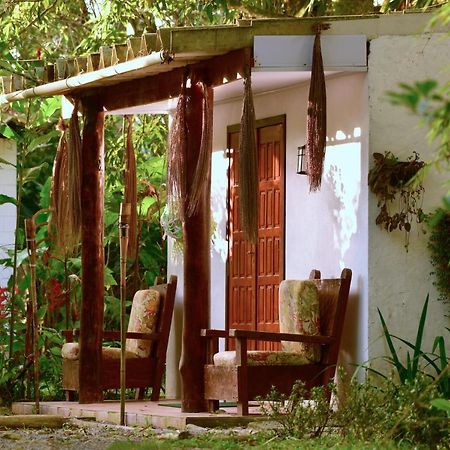 Willa Casa A Beira Do Rio Jaguareguava Na Mata Atlantica Em Bertioga Sp Zewnętrze zdjęcie
