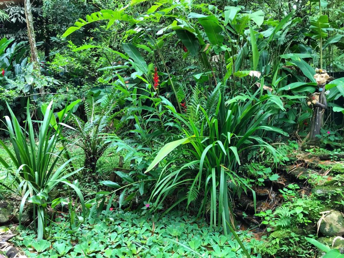 Willa Casa A Beira Do Rio Jaguareguava Na Mata Atlantica Em Bertioga Sp Zewnętrze zdjęcie