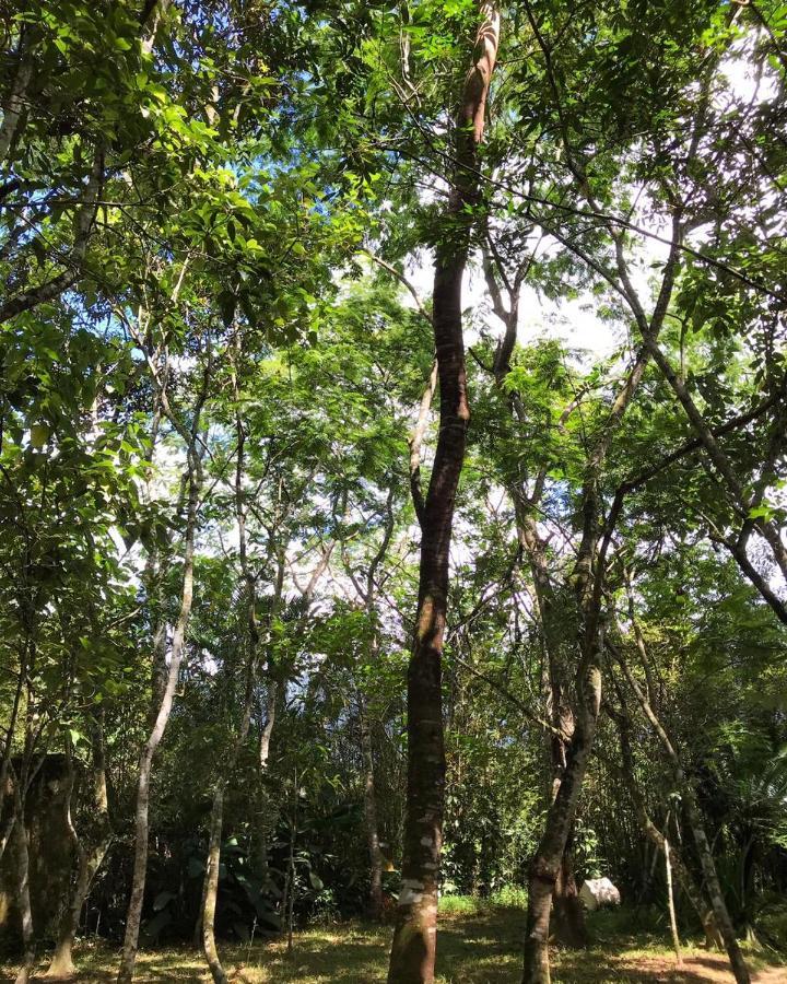 Willa Casa A Beira Do Rio Jaguareguava Na Mata Atlantica Em Bertioga Sp Zewnętrze zdjęcie