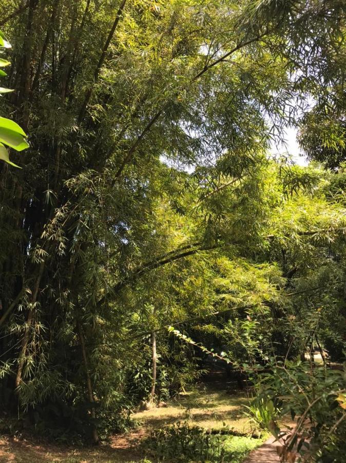 Willa Casa A Beira Do Rio Jaguareguava Na Mata Atlantica Em Bertioga Sp Zewnętrze zdjęcie