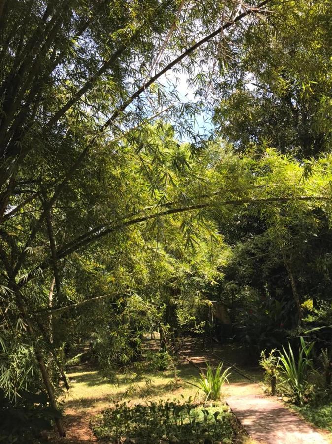 Willa Casa A Beira Do Rio Jaguareguava Na Mata Atlantica Em Bertioga Sp Zewnętrze zdjęcie