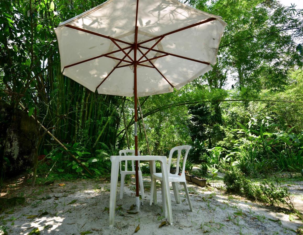 Willa Casa A Beira Do Rio Jaguareguava Na Mata Atlantica Em Bertioga Sp Zewnętrze zdjęcie